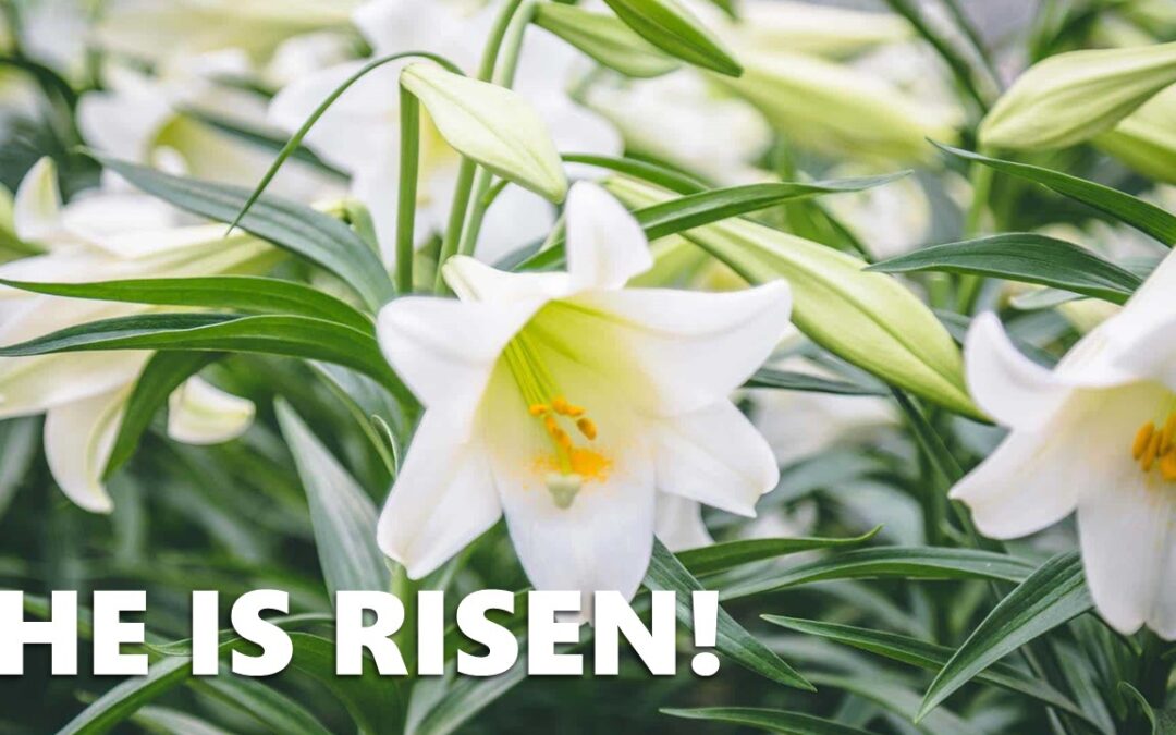 4/9/2023 “He Is Risen!”